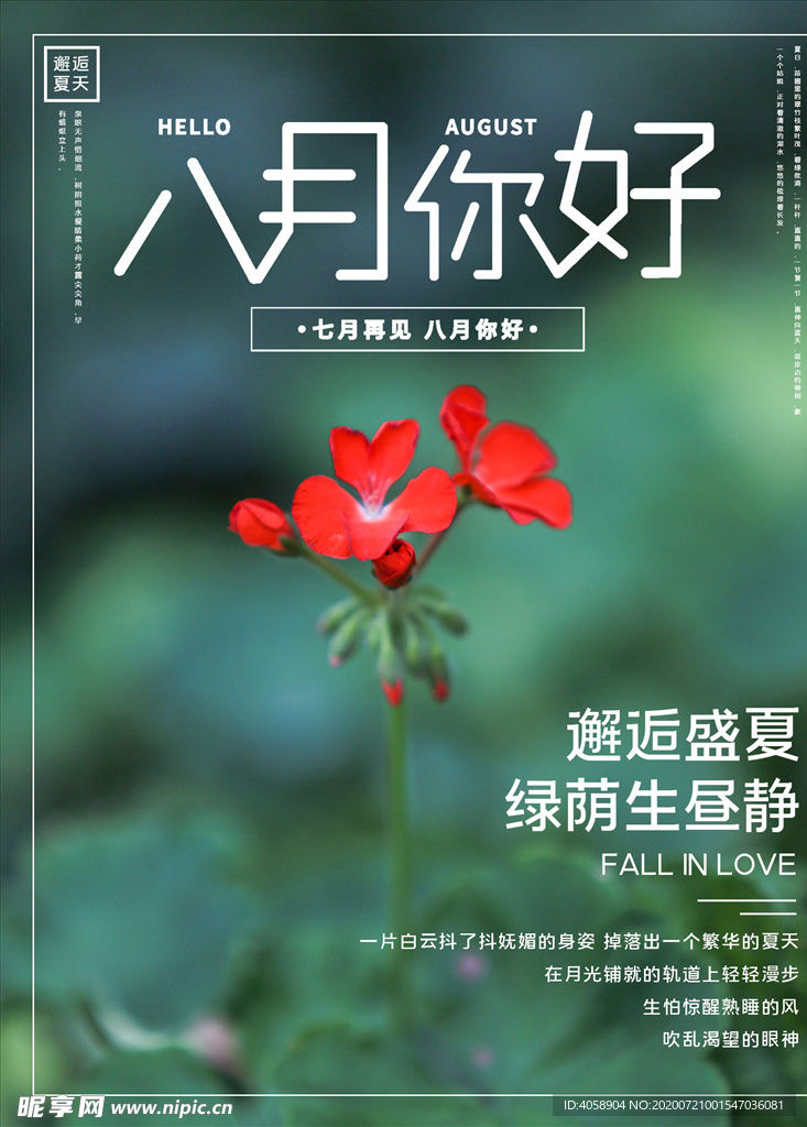 八月你好