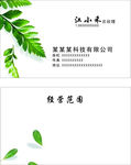 树叶名片