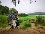 雨中湖边摄影