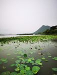 雨中湖景