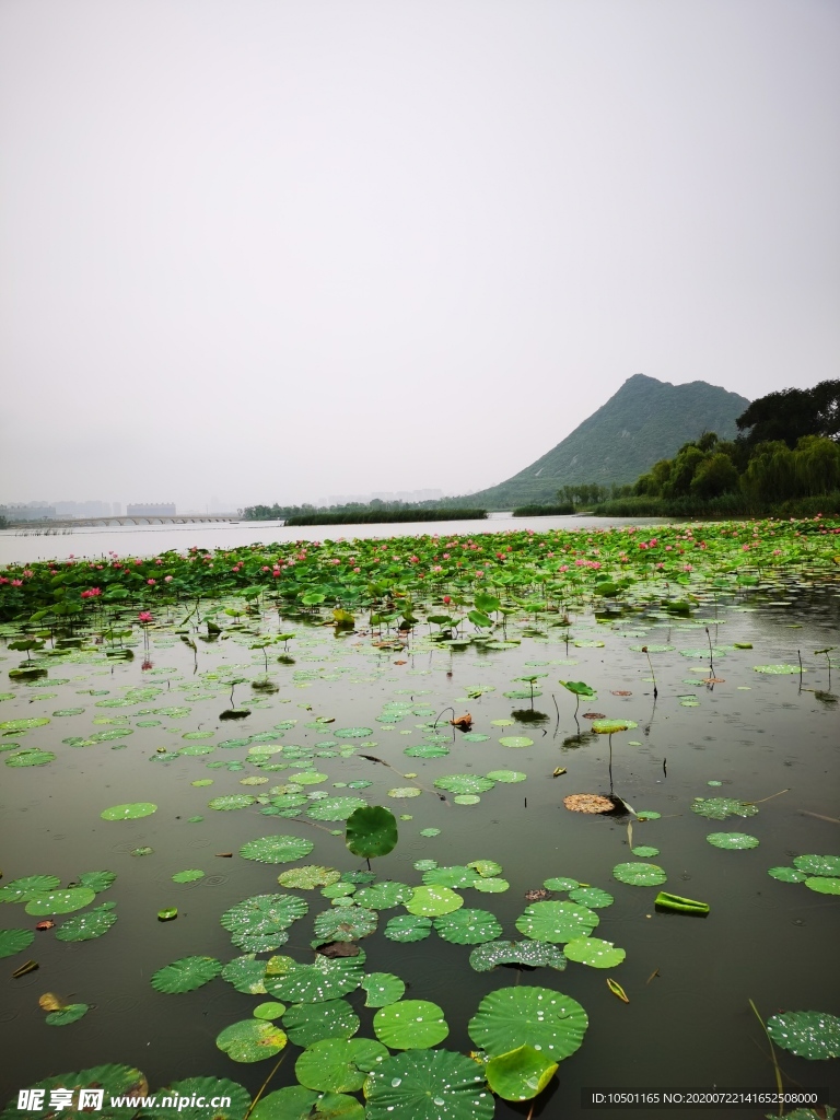 雨中湖景