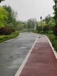 雨后公园小路