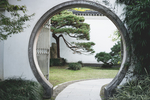 庭院
