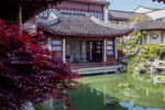 庭院