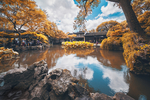 庭院