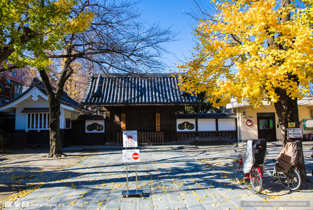 庭院