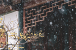 庭院