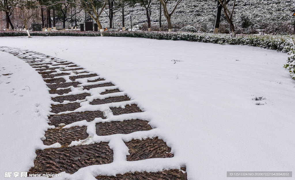 雪地