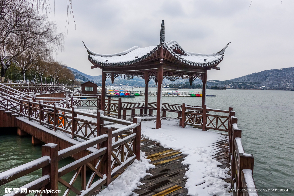 庭院
