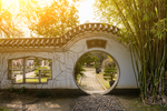 庭院
