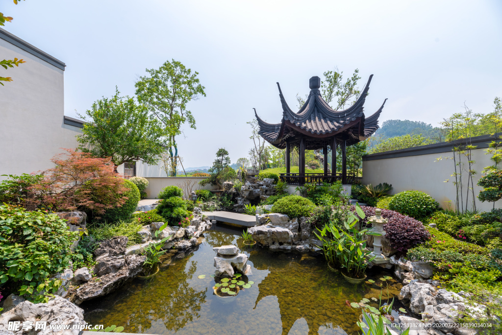 庭院