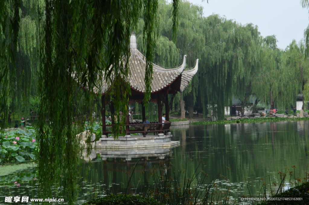 夏日风景