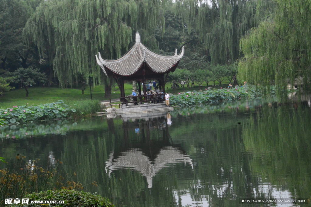 夏日风景