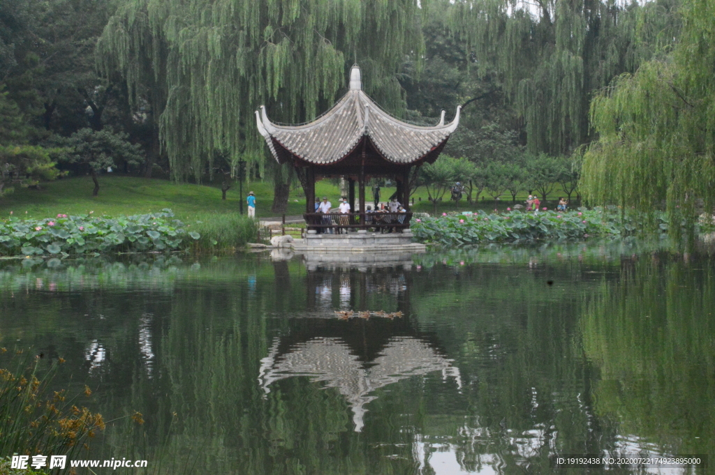 夏日风景