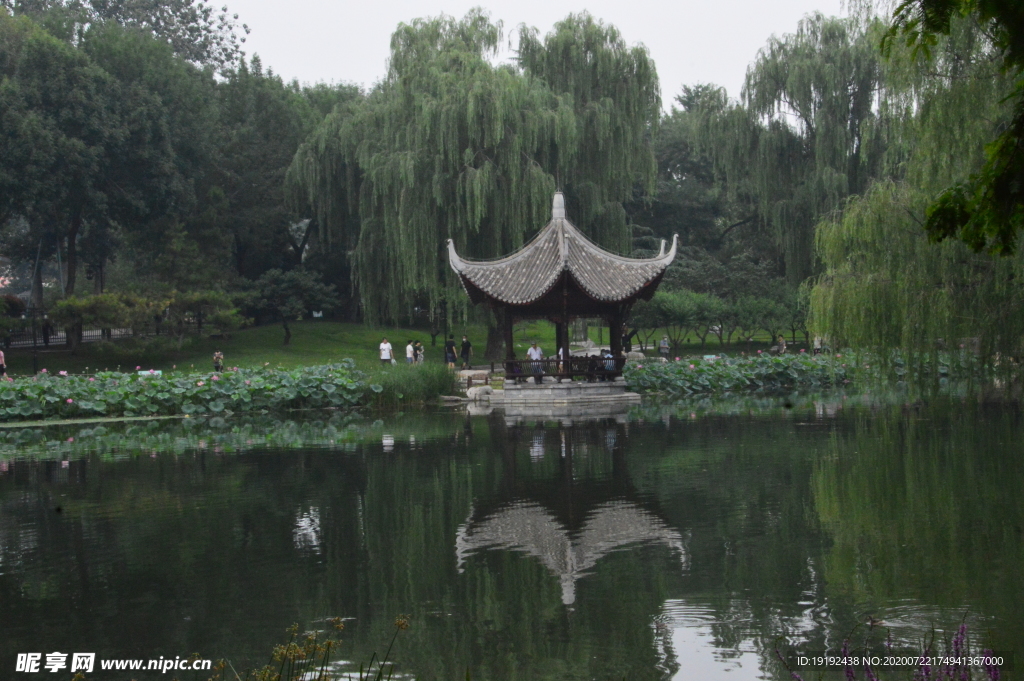 夏日风景