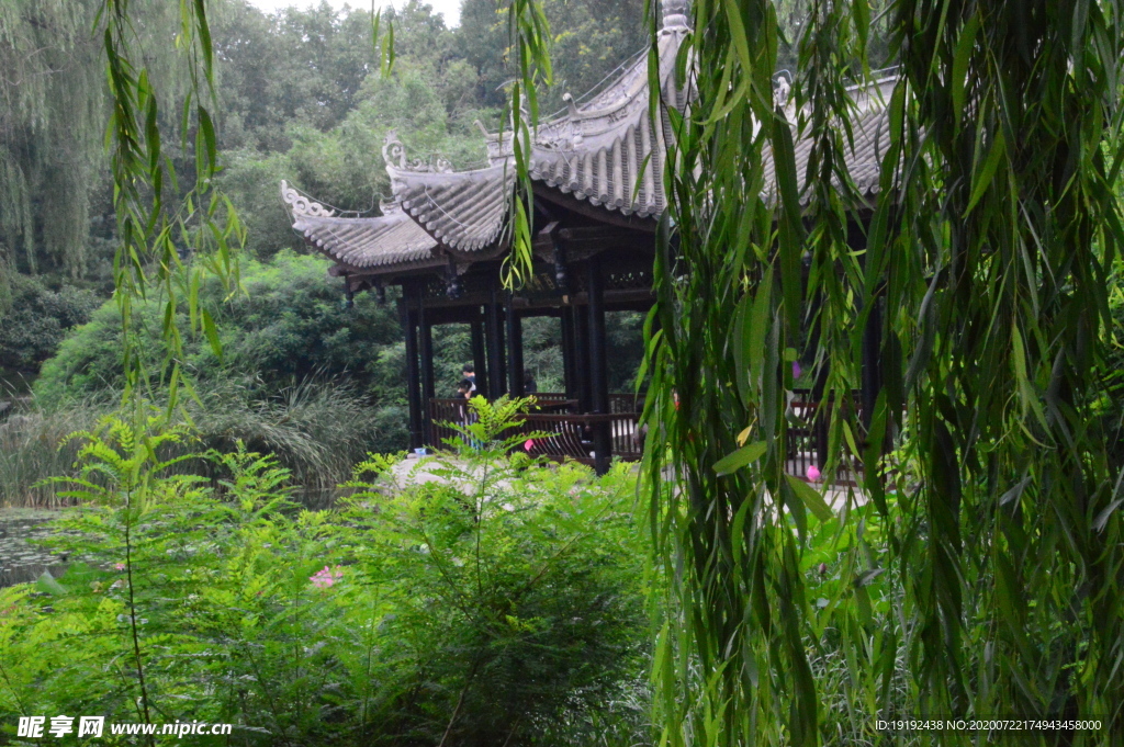 夏日风景