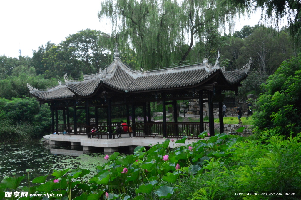 夏日风景