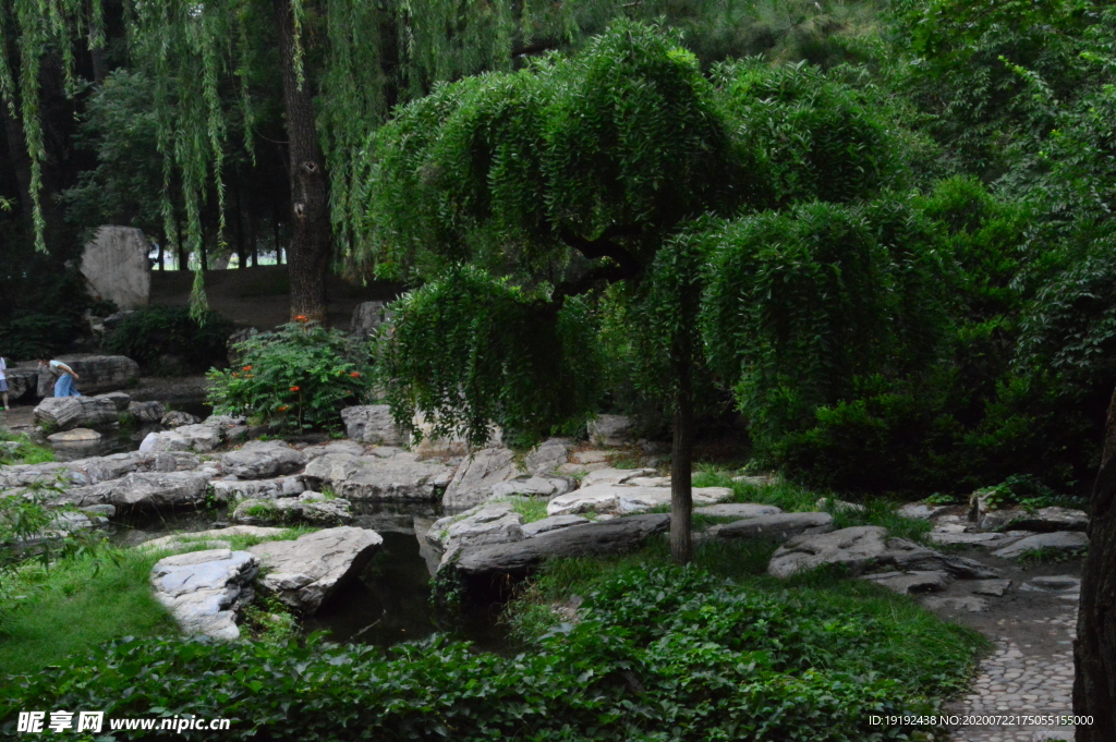 夏日风景