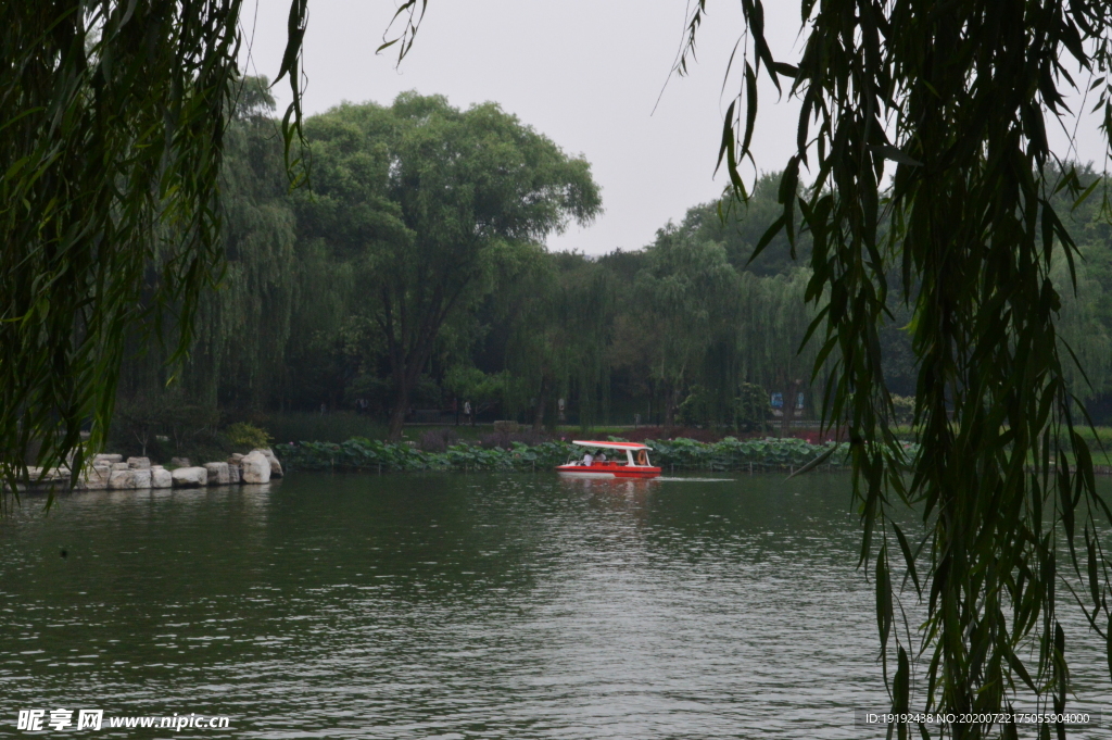 夏日风景