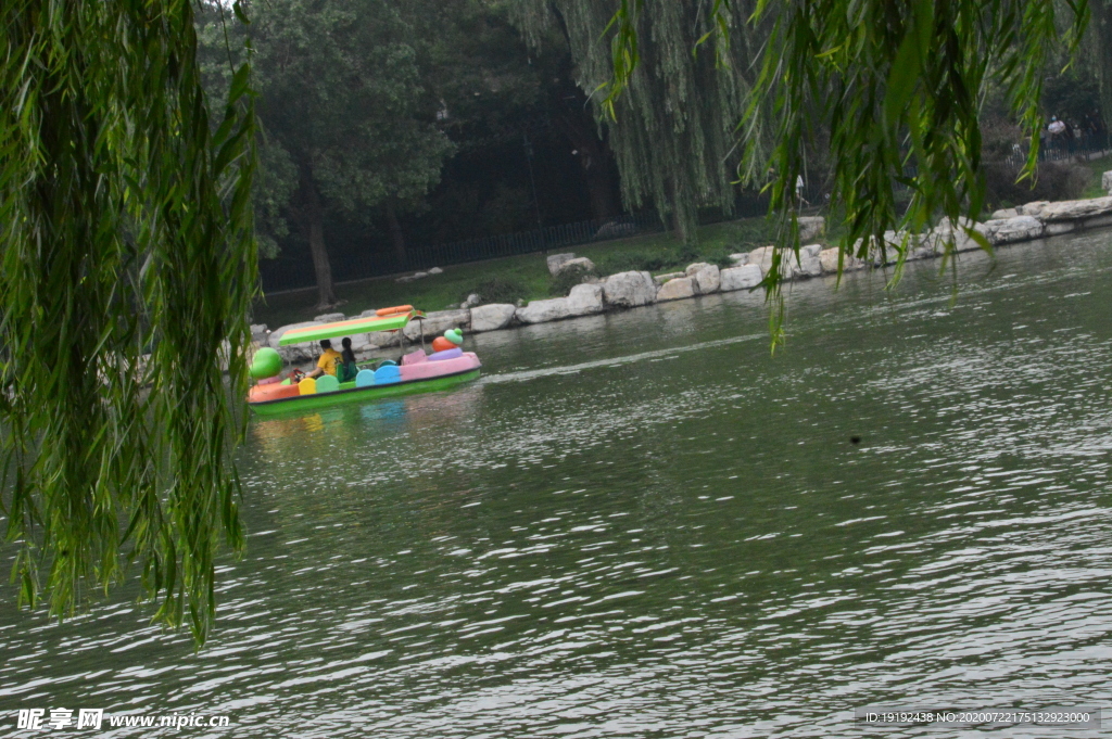 夏日风景