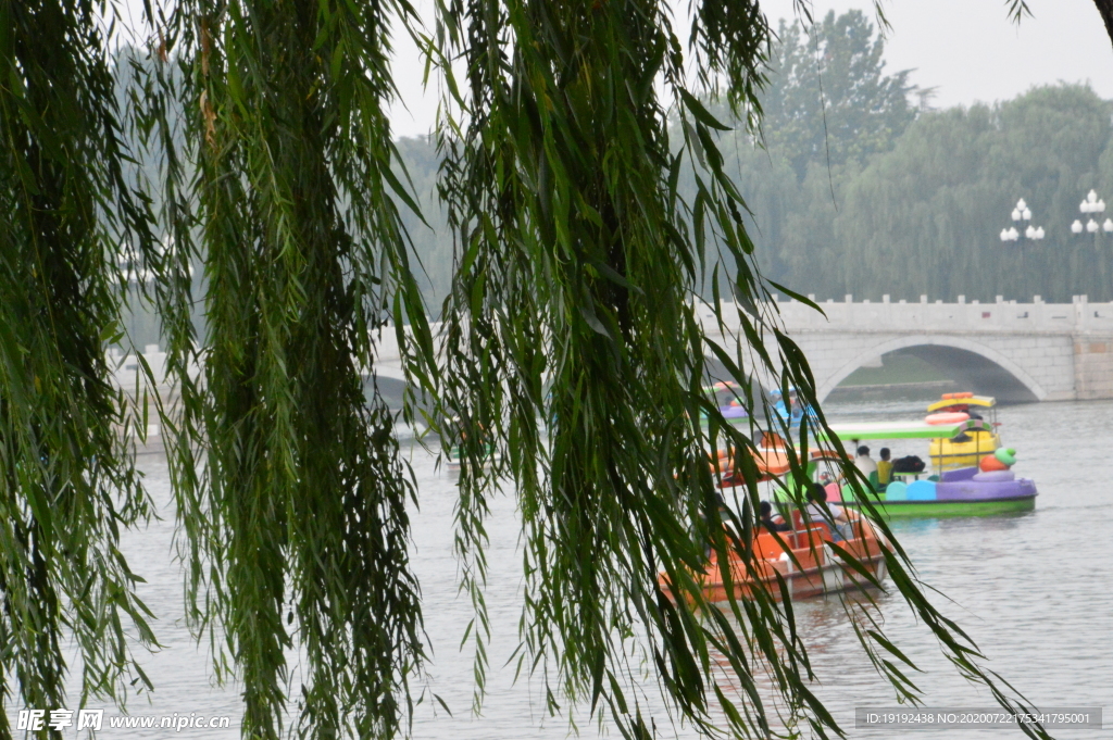 夏日风景