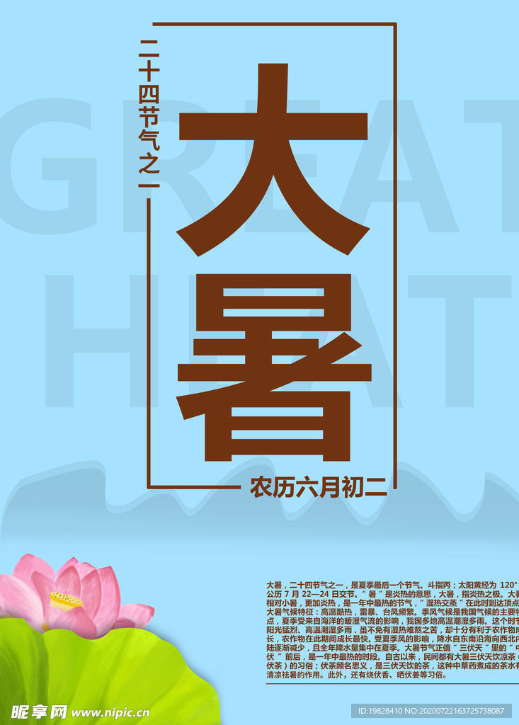 二十四节气大暑荷花