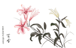 百合花复古国风插画卡通背景素材