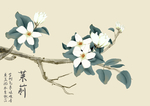 茉莉花复古国风插画卡通背景素材
