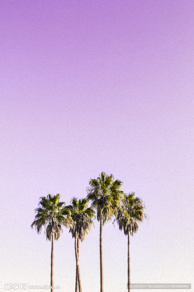 景色