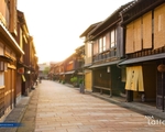 城市