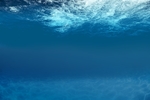 海水