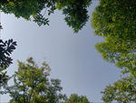 背景素材