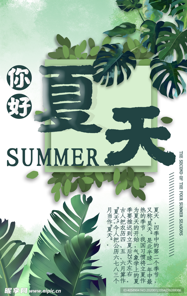 你好夏天