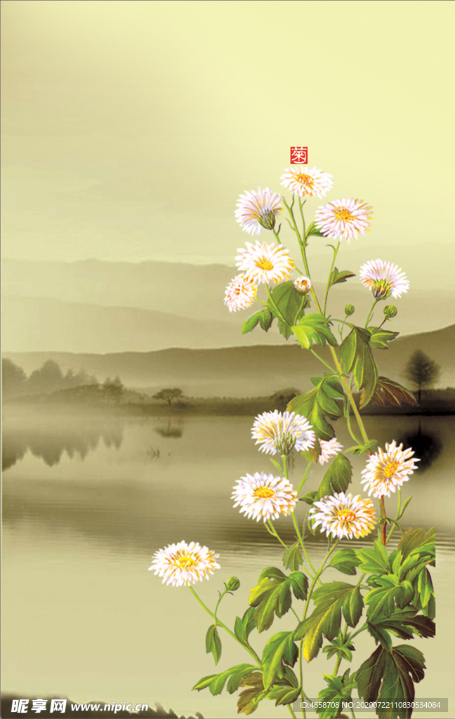 菊花