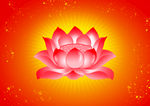 莲花