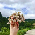 野生草莓