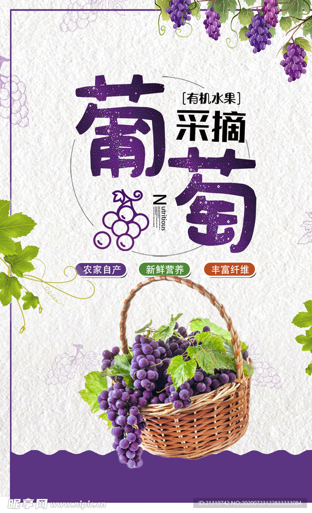 葡萄采摘