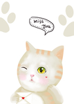 卡通猫