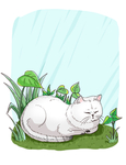 卡通猫