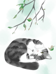 手绘猫