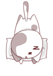 卡通猫咪