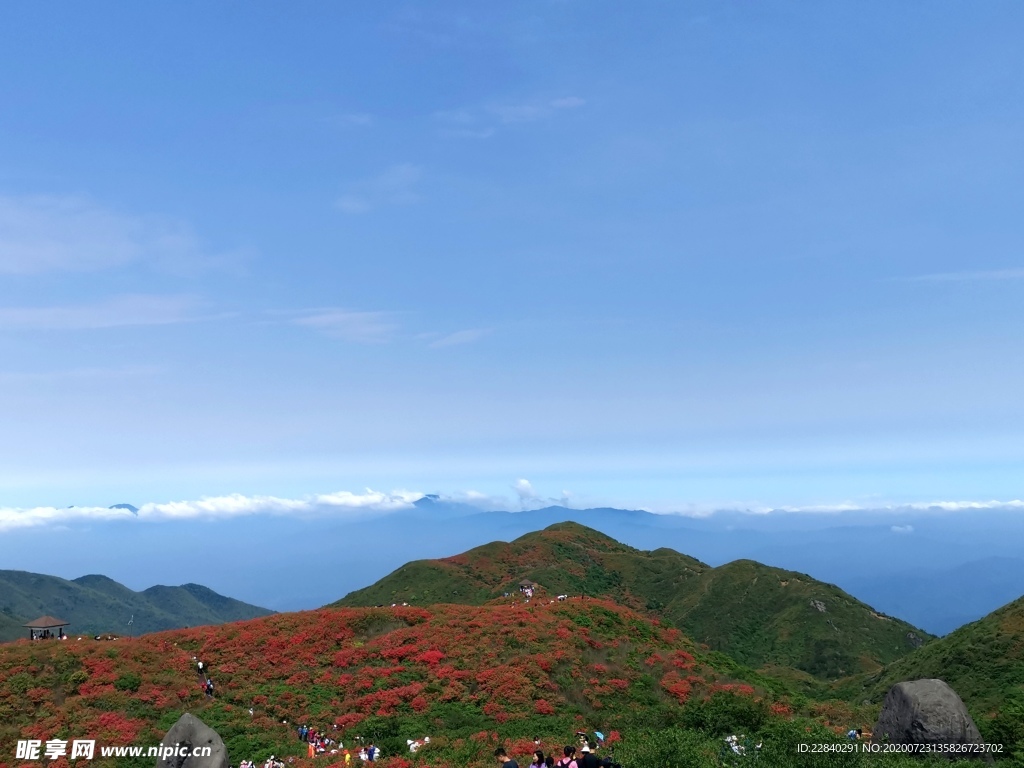 浏阳大围山杜鹃花节