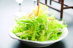美味苦菊苗