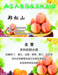 水蜜桃名片