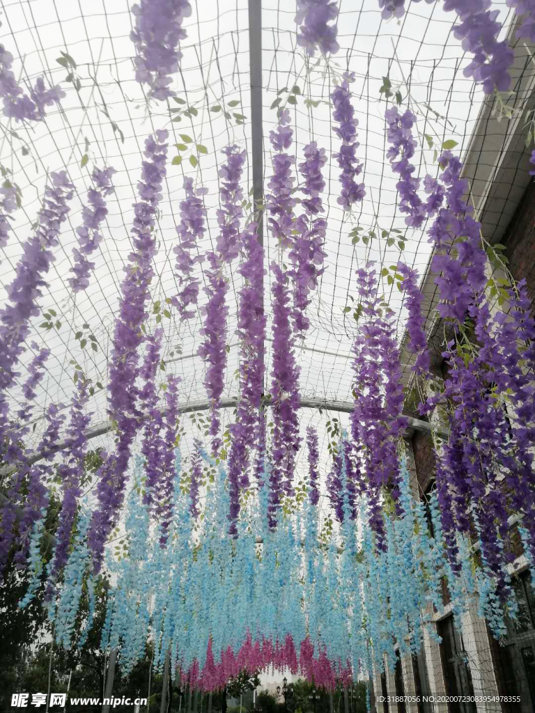 花架