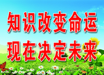 知识改变命运
