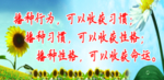 文化墙标语