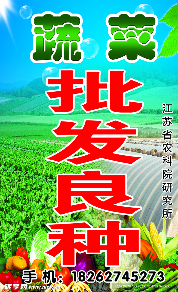 蔬菜批发良种