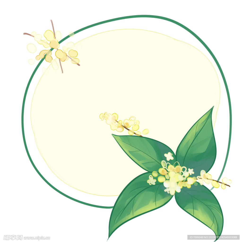 植物花卉边框