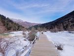 黄龙